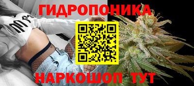 гидра Партизанск