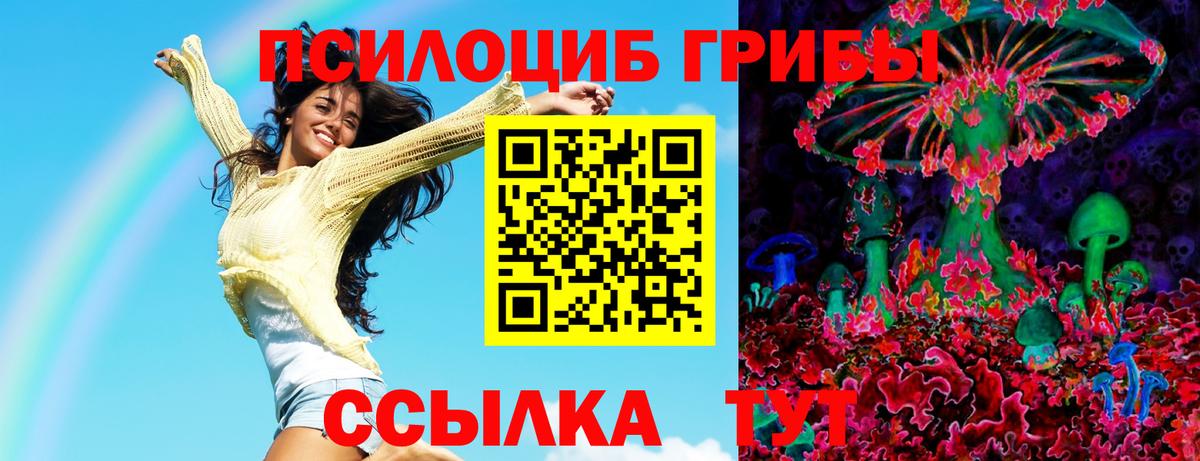 Галлюциногенные грибы мицелий  Псилоцибиновые грибы GOLDEN TEACHER  Протвино  Вход с VPN 